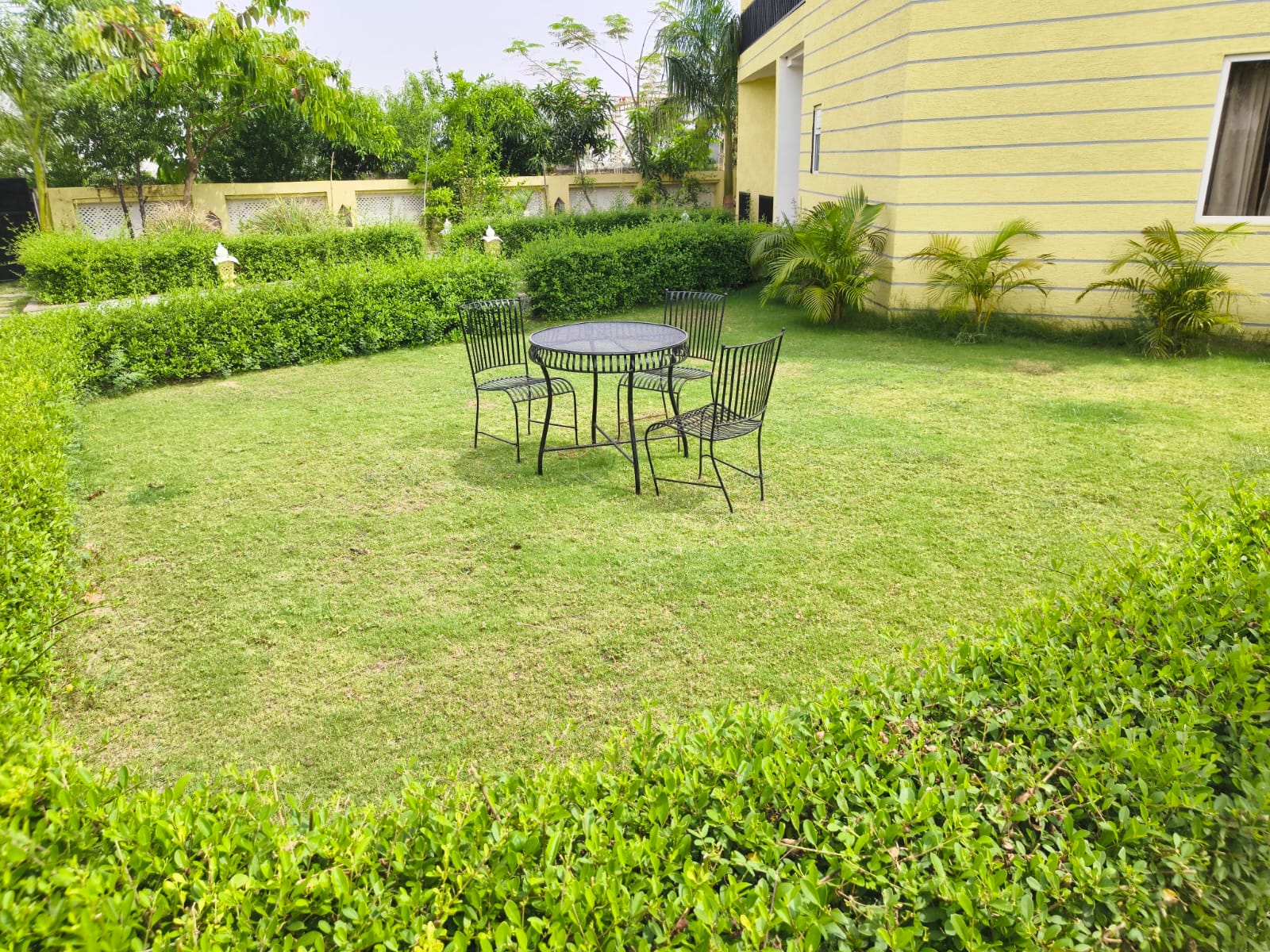 Lawn seating amid greenery